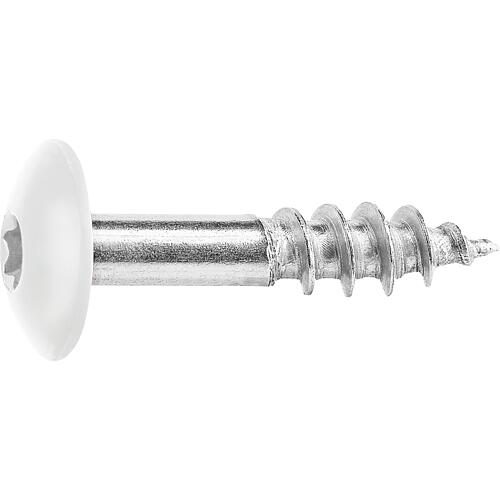 Facade screws for HPL panels A4, 5.5 x 25, RAL 9010 Pure white, PU: 100