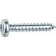 Pan head self-tapping screw with Torx, galvanised