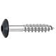 Facade screws for HPL panels A4, 5.5 x 35, RAL 7016 Anthracite, PU: 100