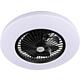 Ventilateur de plafond Fan LRC, 43 watts Standard 1