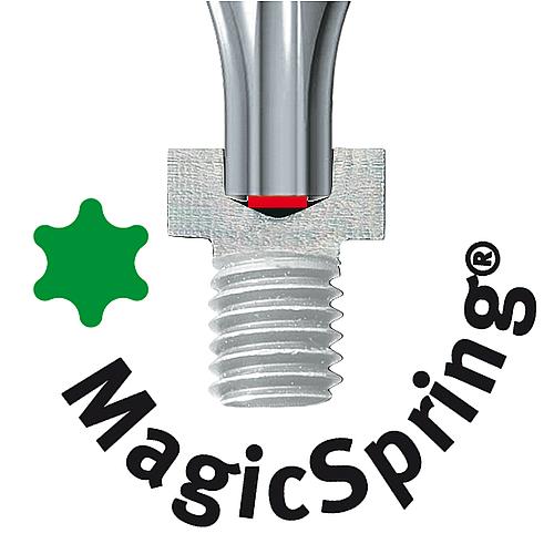 Torx® with MagicSpring® Logo 2